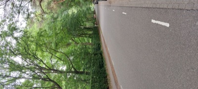 Avond4daagse 2025 - Dag 1