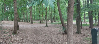 Avond4daagse 2025 - Dag 1